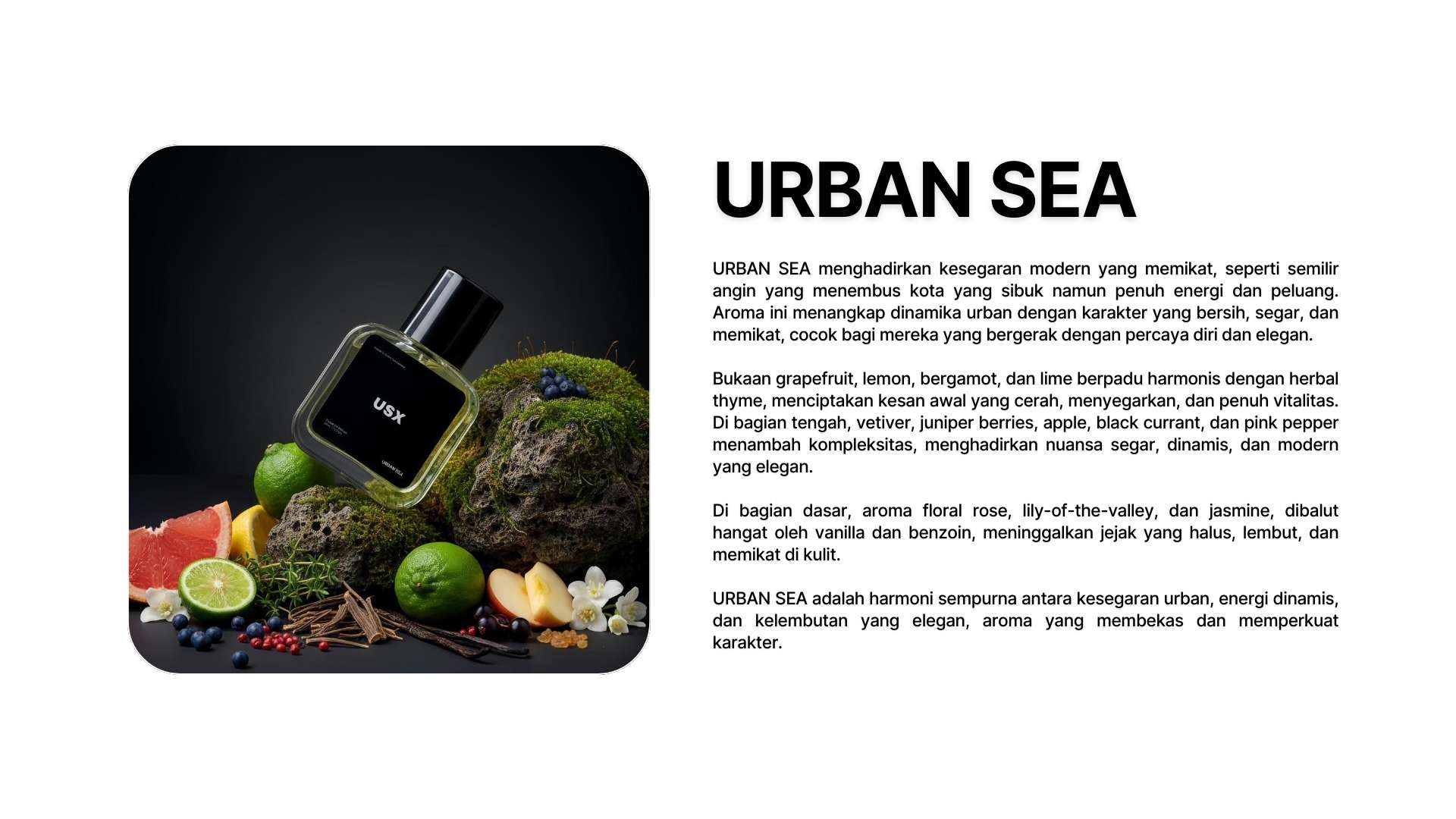 USX FRAGRANCE Urban Sea